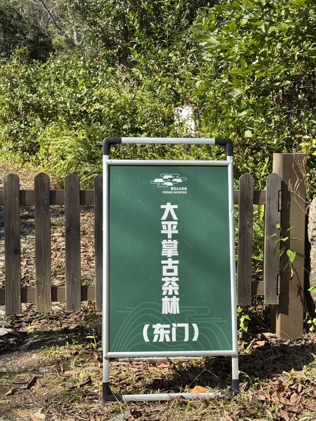 2025年1月12、13日景迈山旅游攻略