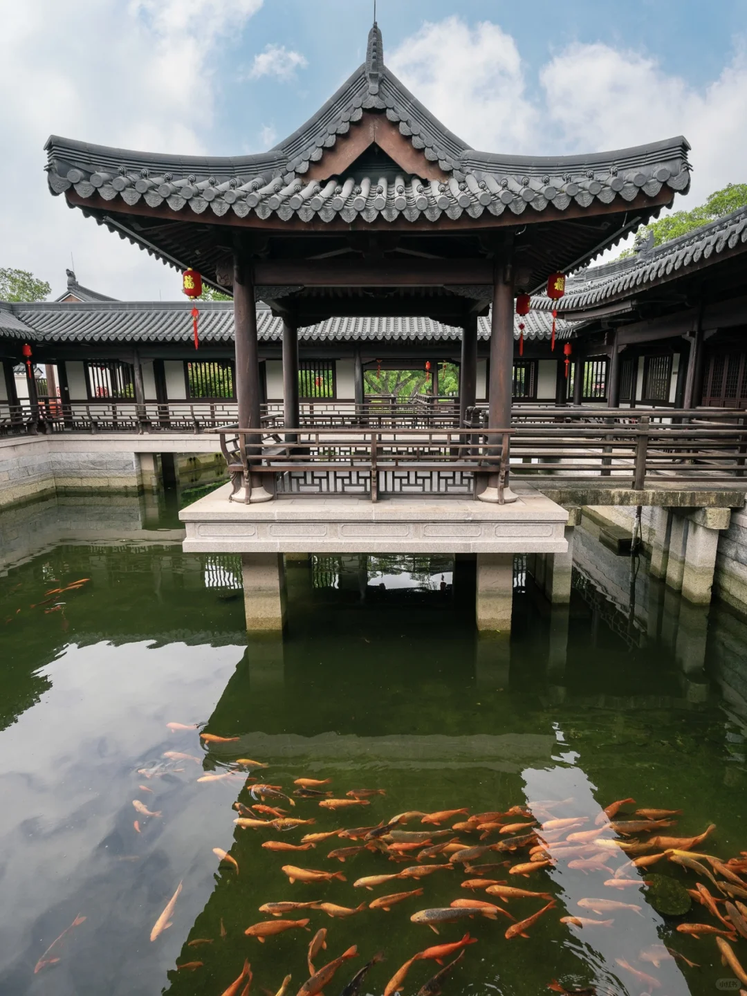 温州CityWalk丨这18张图发朋友圈问爆了❗