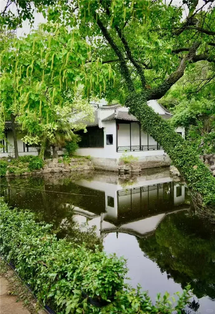 🎀诗意江南，邂逅苏州✨