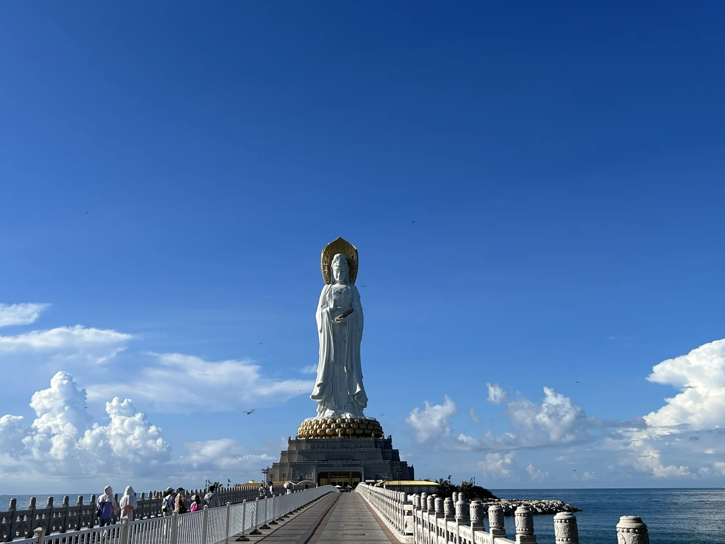 梵天净土，品一杯主人茶🍵