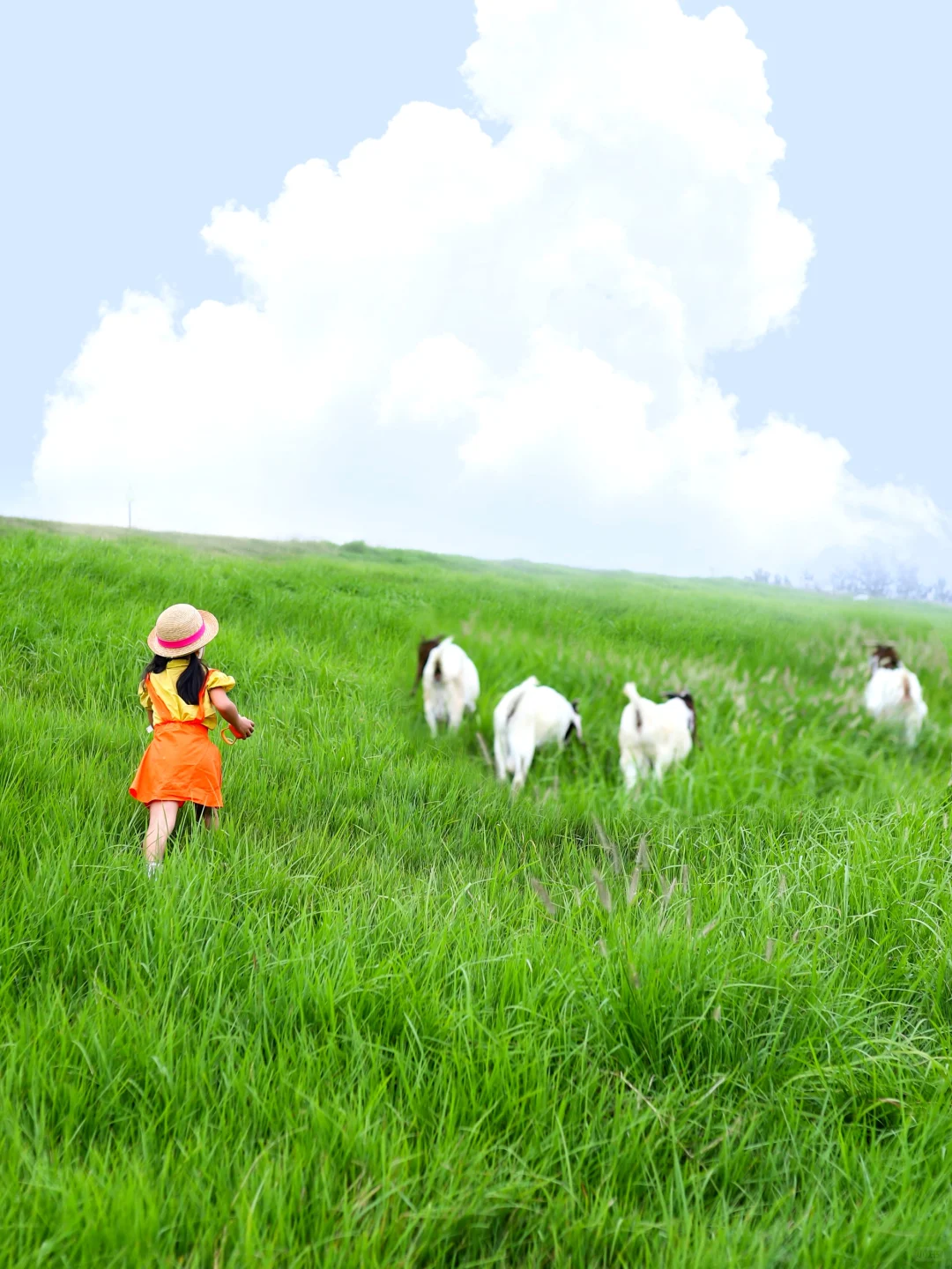 徐州超美的19个小众景点‼️关键还免费