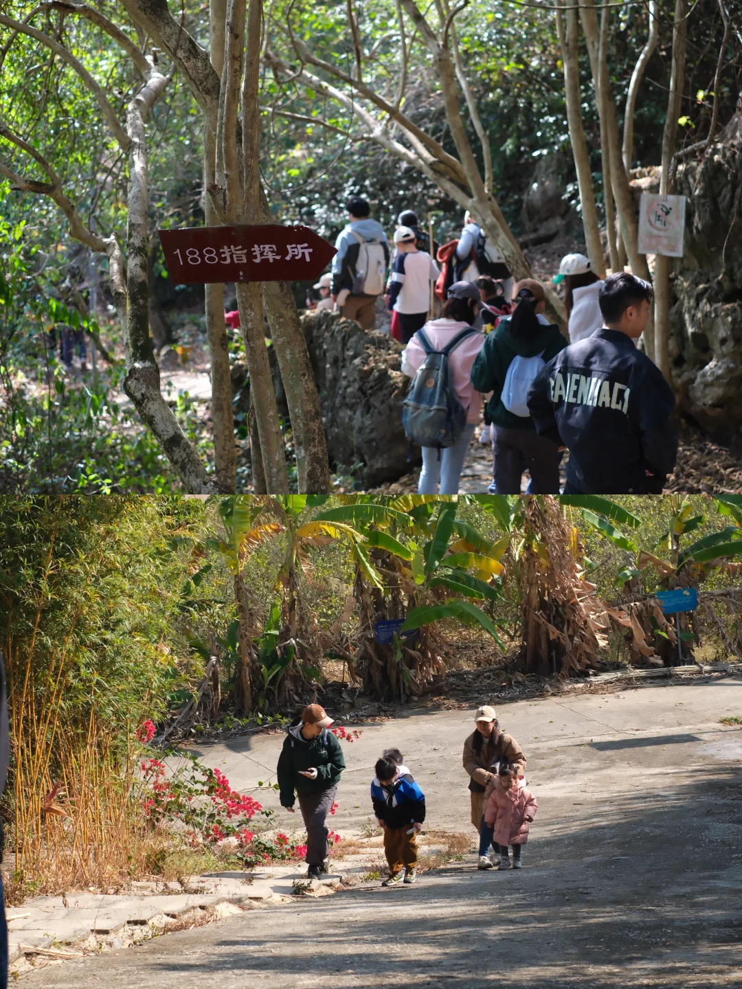 南宁遛娃｜离南宁最近的喀斯特山！摘果徒步！