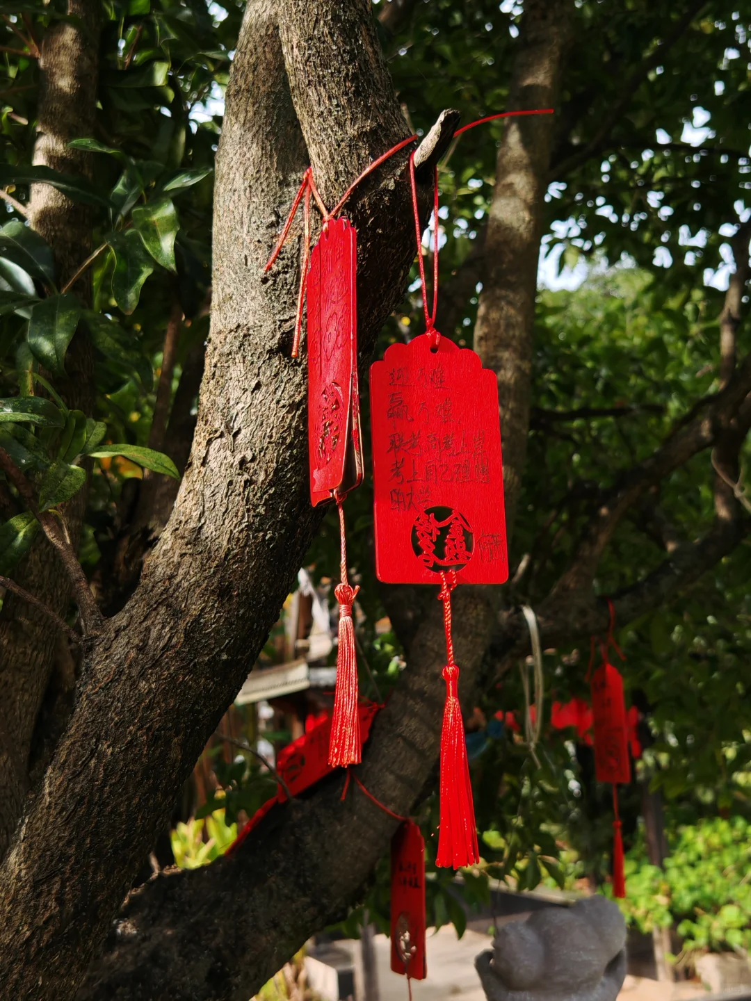 我和我的景区备考计划