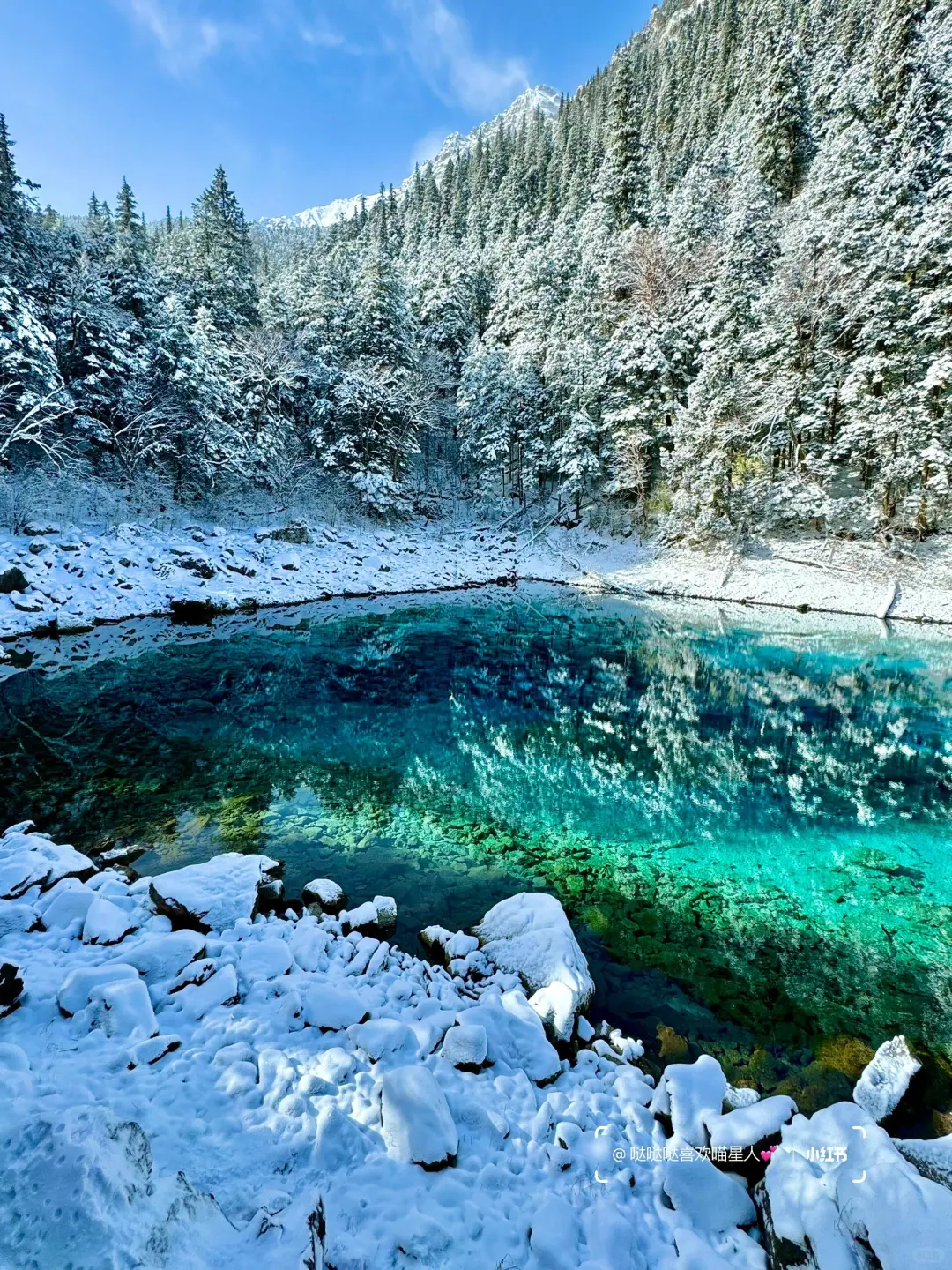 12.28📍九寨沟豪赌成功！简直不要太美了