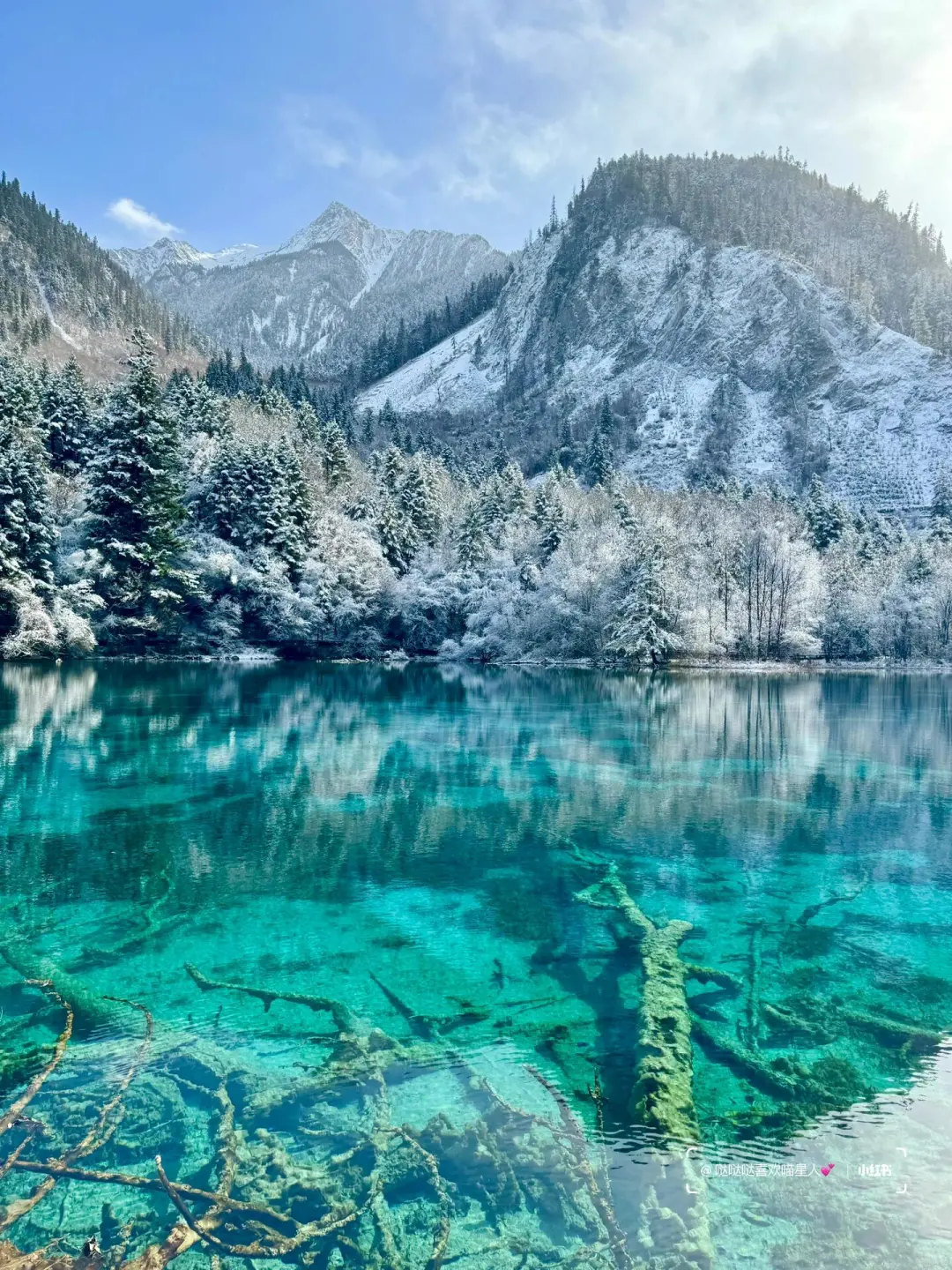 12.28📍九寨沟豪赌成功！简直不要太美了