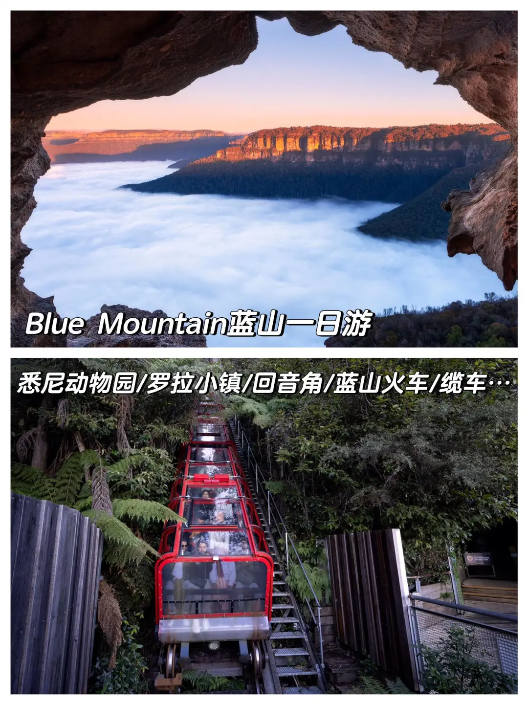 🇦🇺人生建议：离开悉尼前必去的20个地方❗️