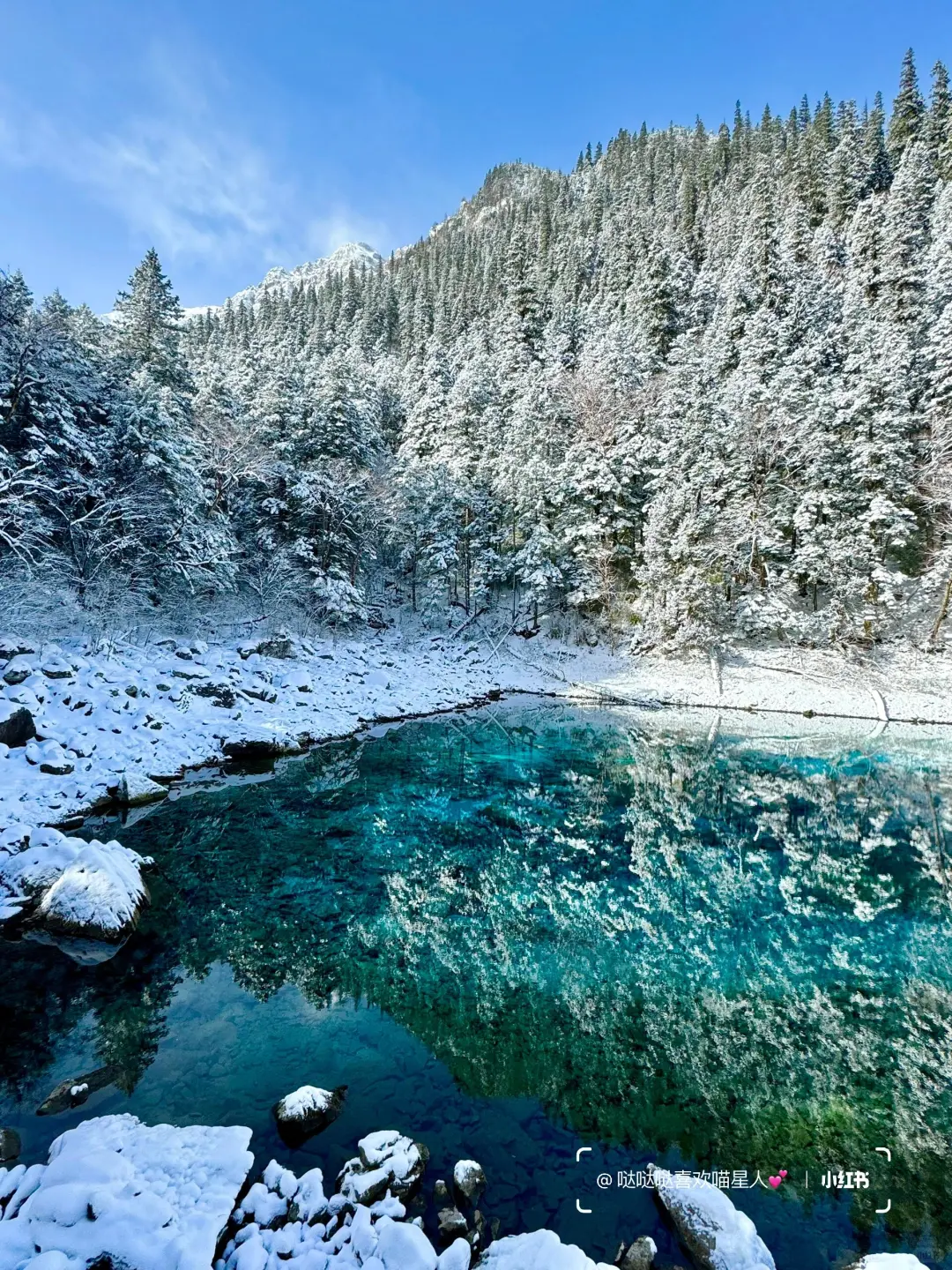12.28📍九寨沟豪赌成功！简直不要太美了