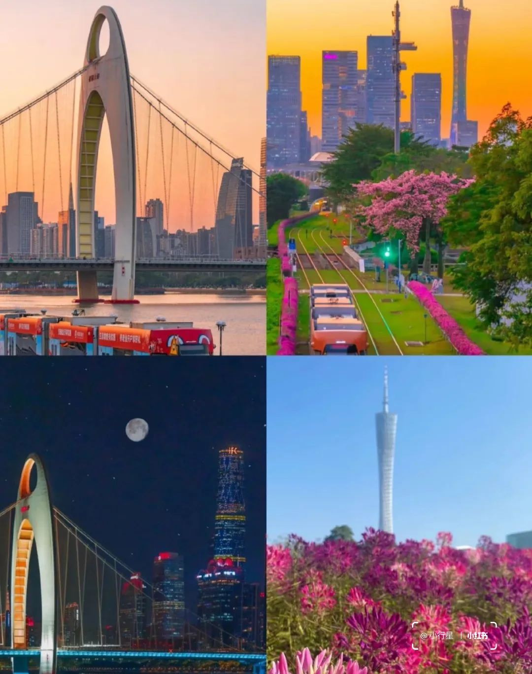 🔥听劝！2025春节广州旅游攻略！