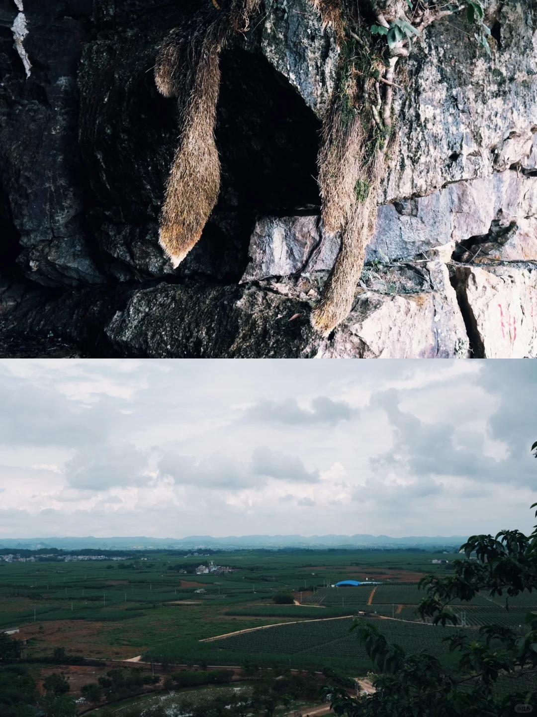 南宁遛娃｜离南宁最近的喀斯特山！摘果徒步！