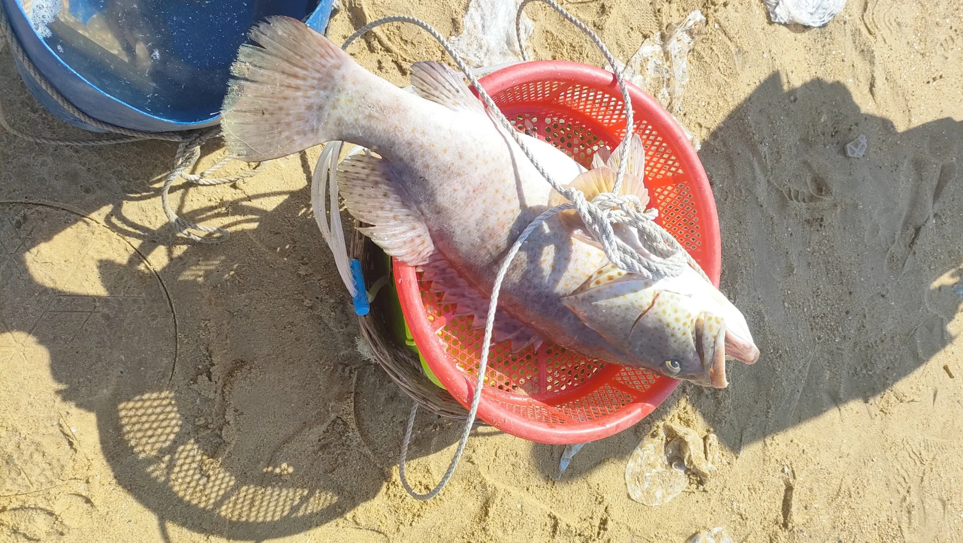 海口适合团建旅行亲子游玩的10个景点