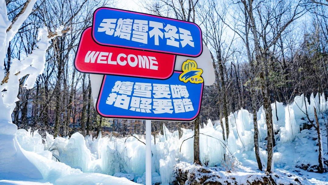 白云山学生免门票啦～洛阳发车