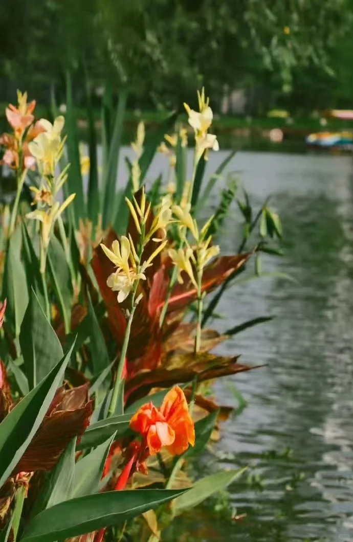 🎀诗意江南，邂逅苏州✨