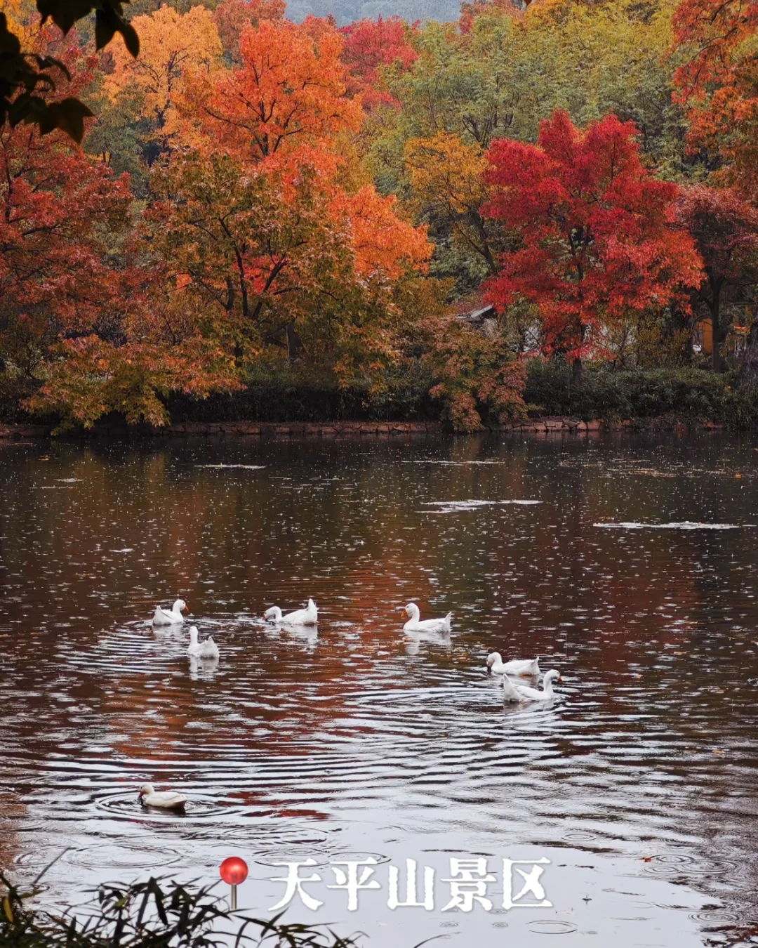 🍁江苏的私藏路线,都在这里❗️