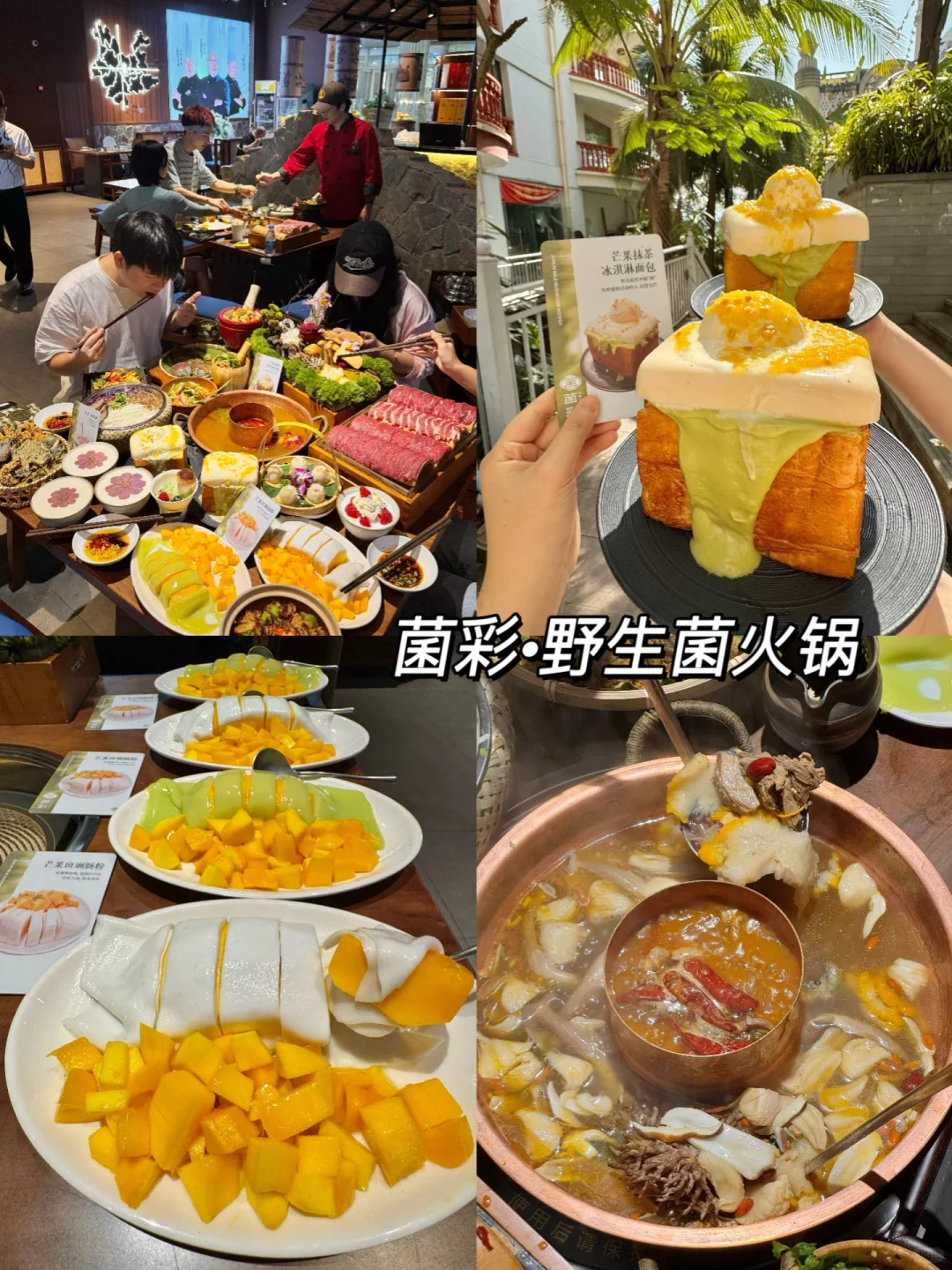 刚从西双版纳回来！😭😭只想说一些大实话…