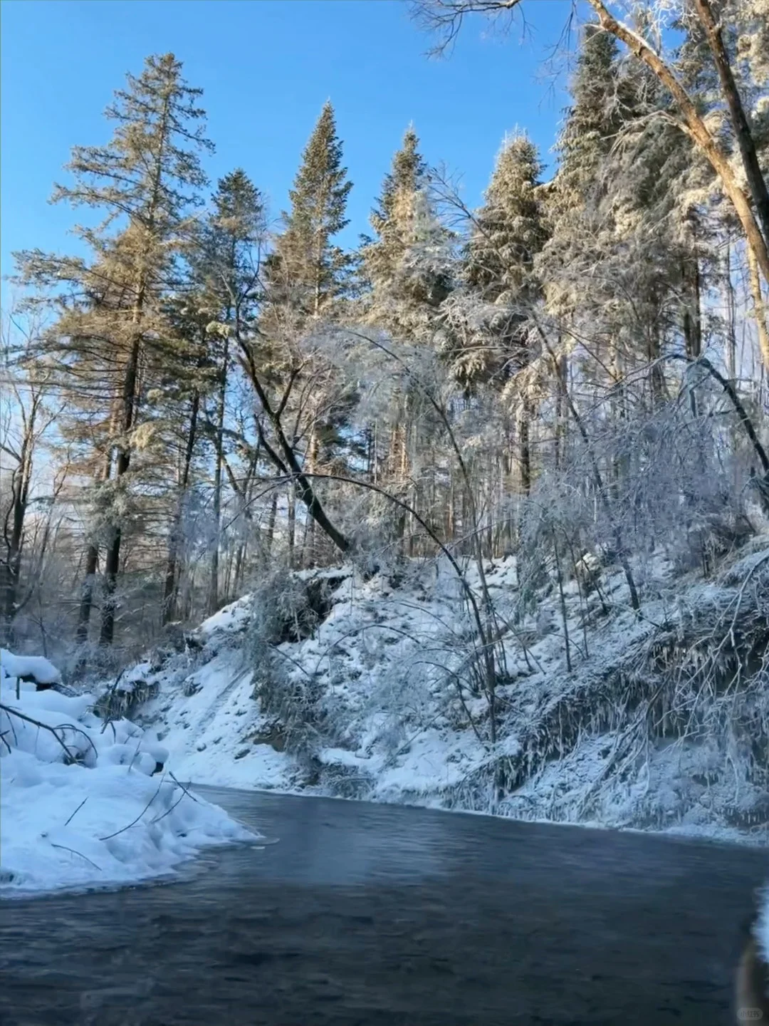 1.14📍长白山已回，美疯了🤩真心劝退不了……