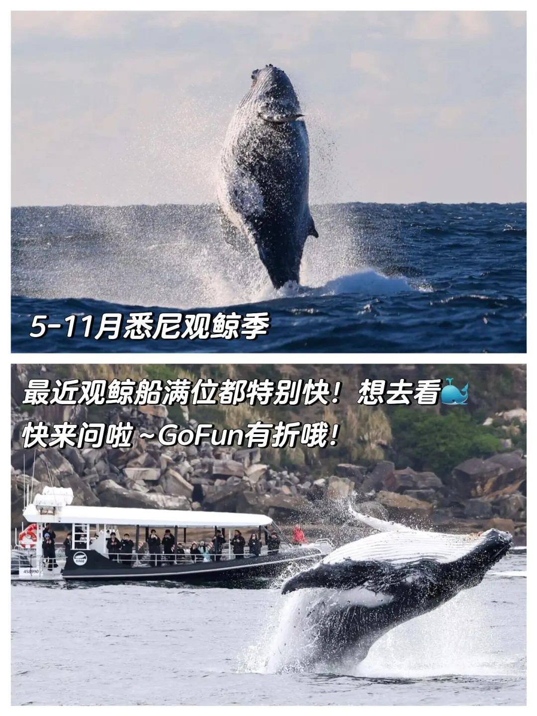 🇦🇺人生建议：离开悉尼前必去的20个地方❗️