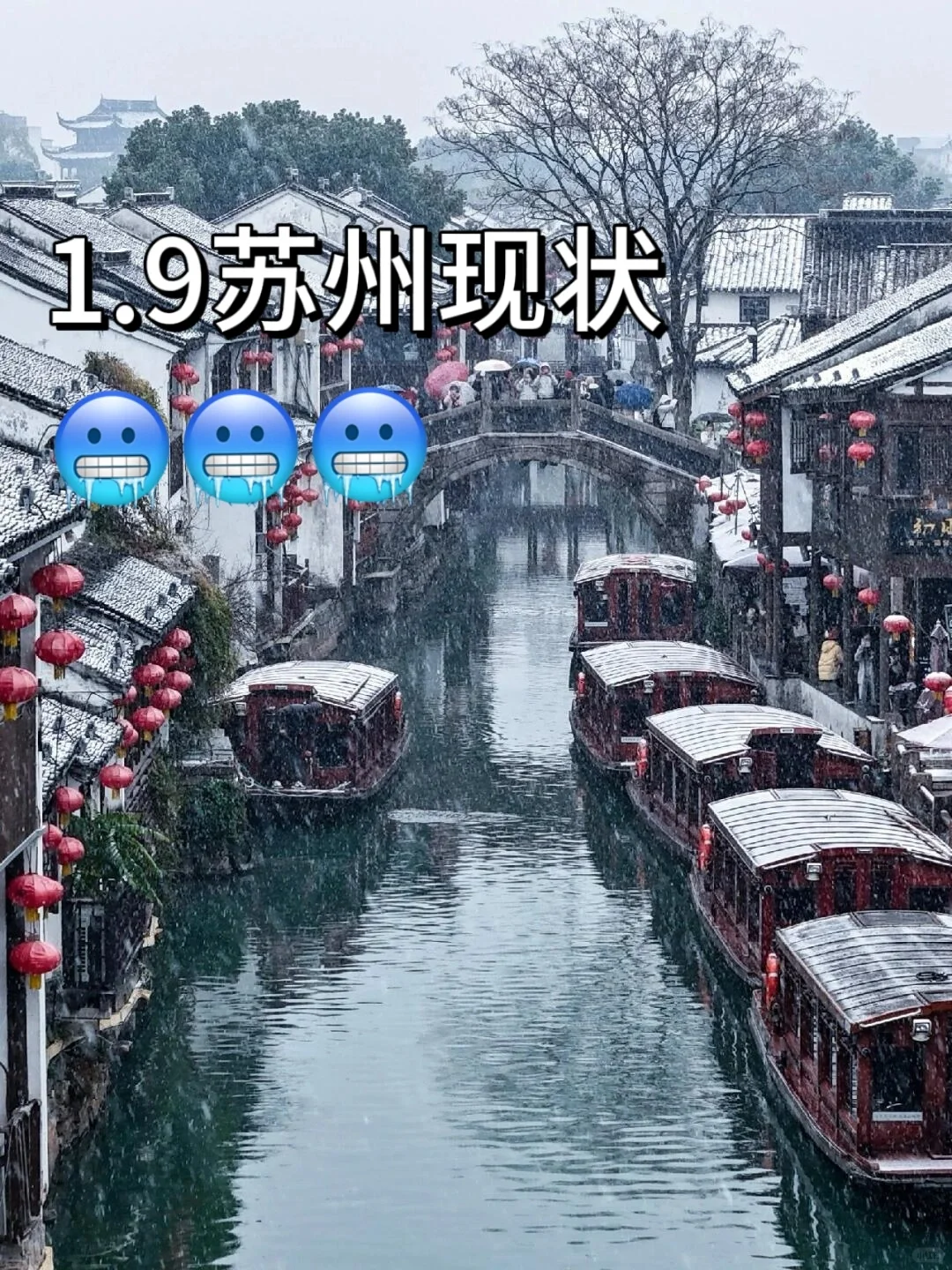 1月份苏州现状,想去的姐妹们尽早改行程