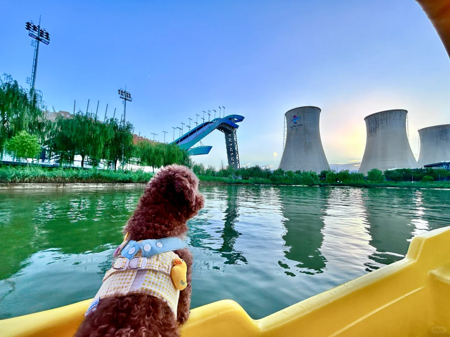 果冻的24年游玩报告🐶宠物友好景区分享~