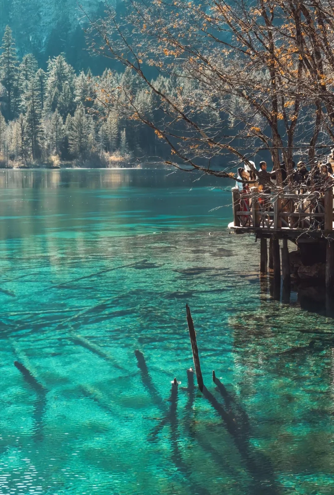 四川九寨沟旅游攻略