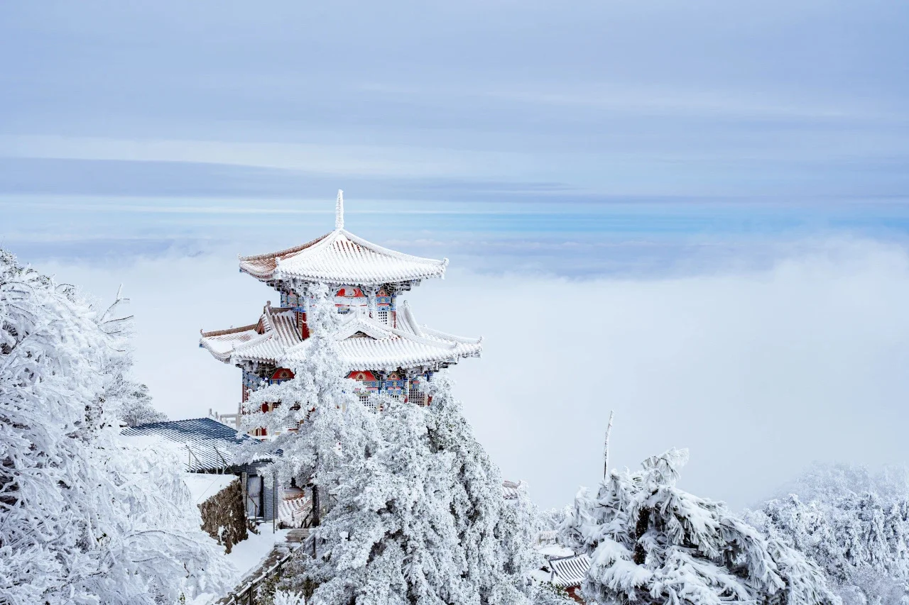 白云山学生免门票啦～洛阳发车