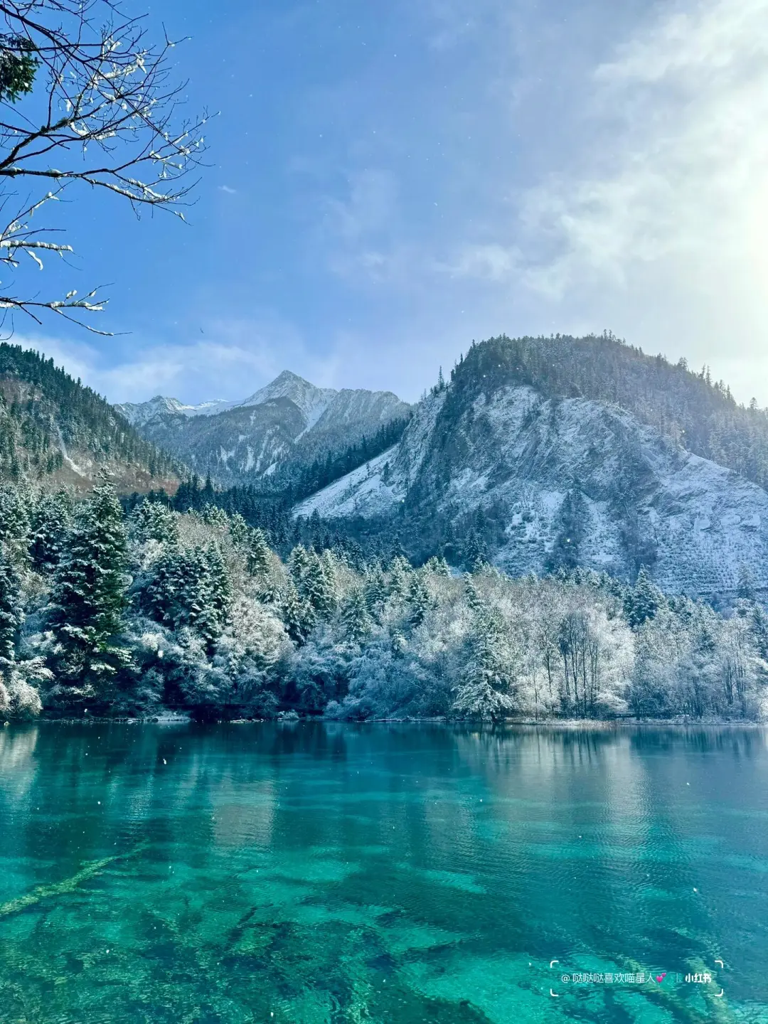 12.28📍九寨沟豪赌成功！简直不要太美了