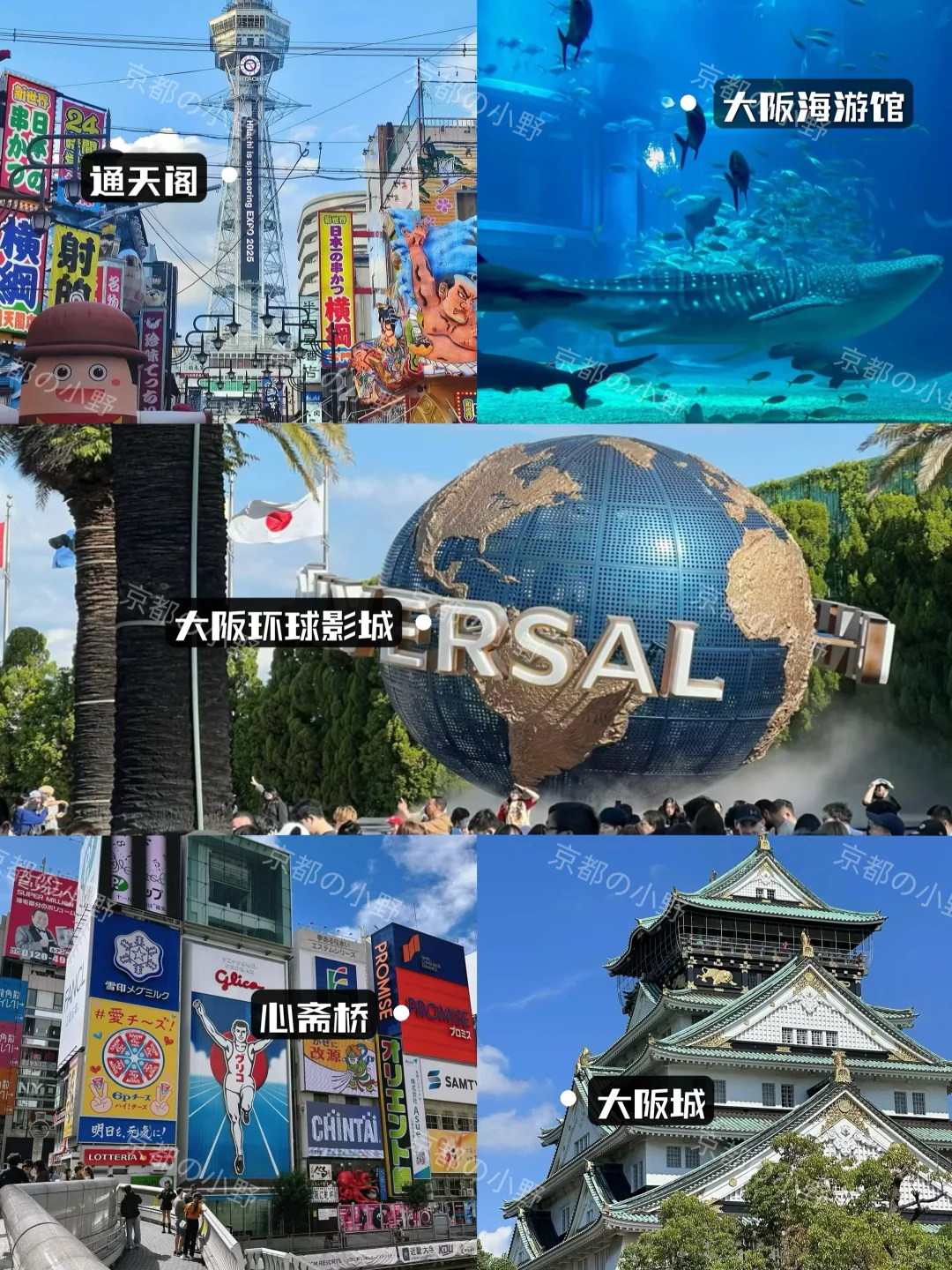 大阪旅游攻略🔥超全懒人包🚶🏻速速拿下‼️