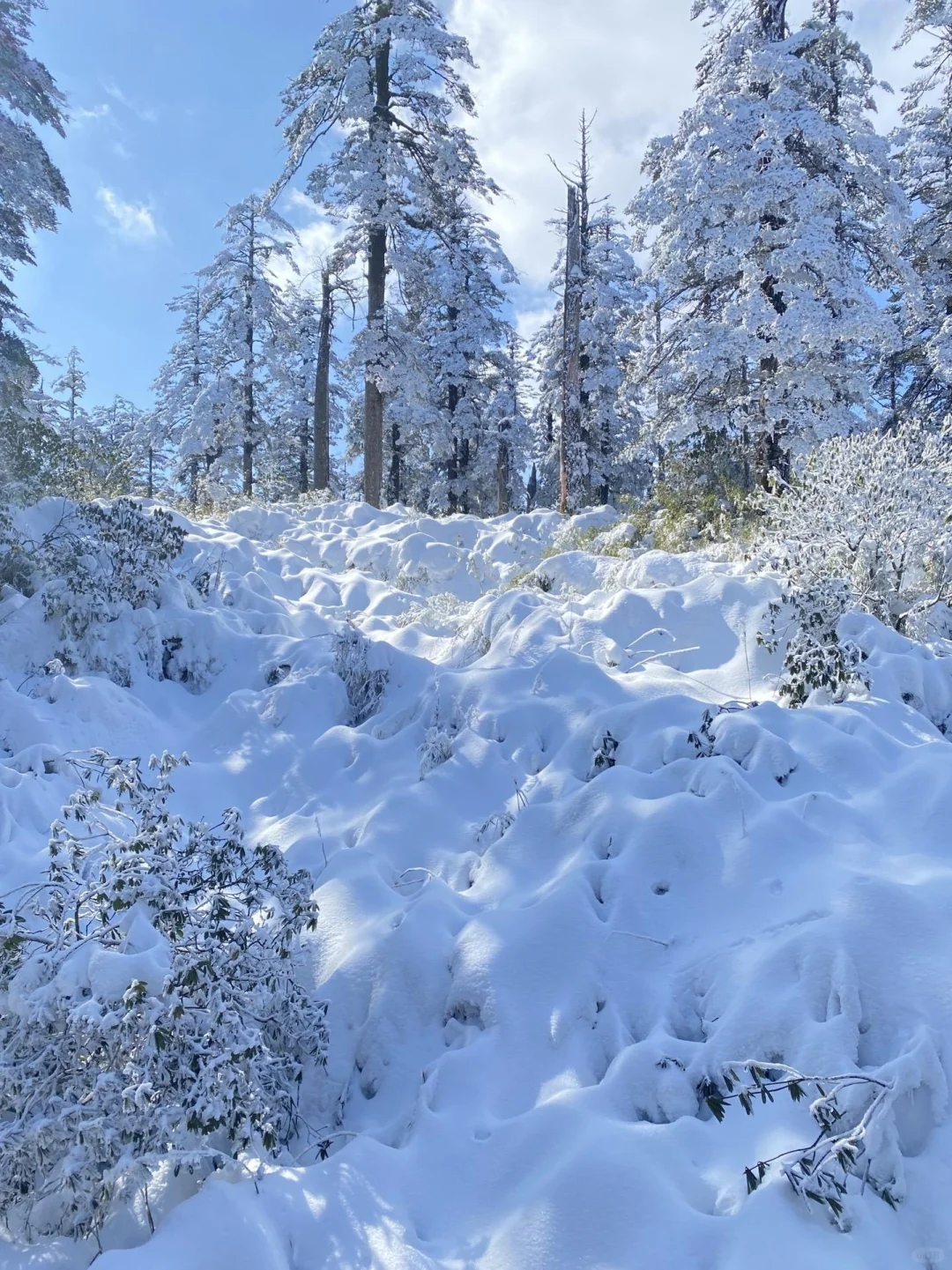 1.14郴州纯受罪已回，四个人都崩溃了😭