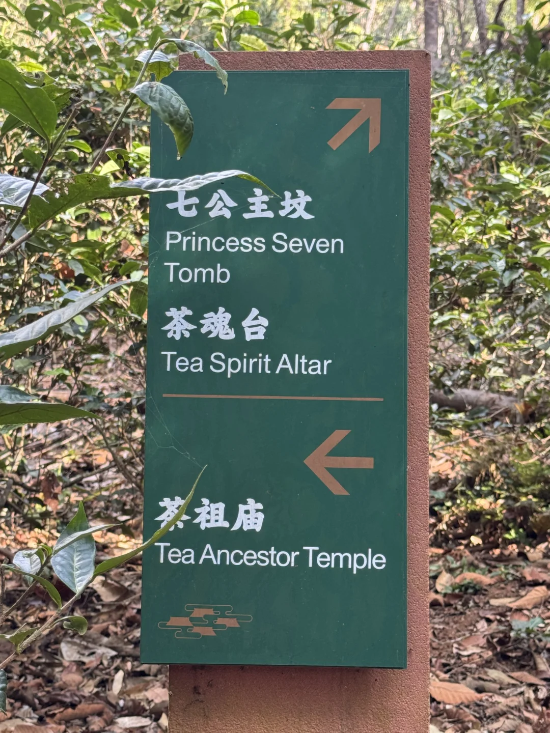 2025年1月12、13日景迈山旅游攻略