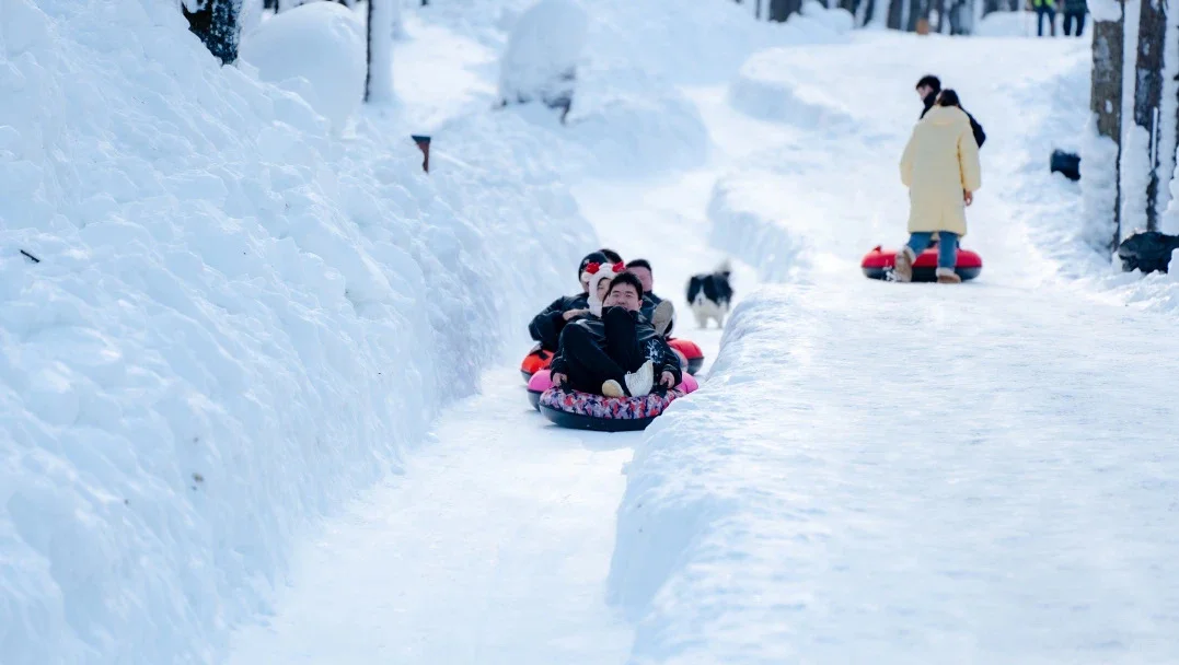 白云山学生免门票啦～洛阳发车