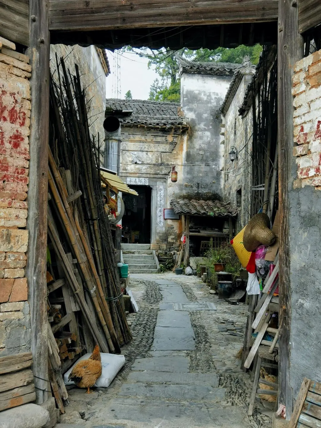 景德镇真好，去去班味，下次还来～