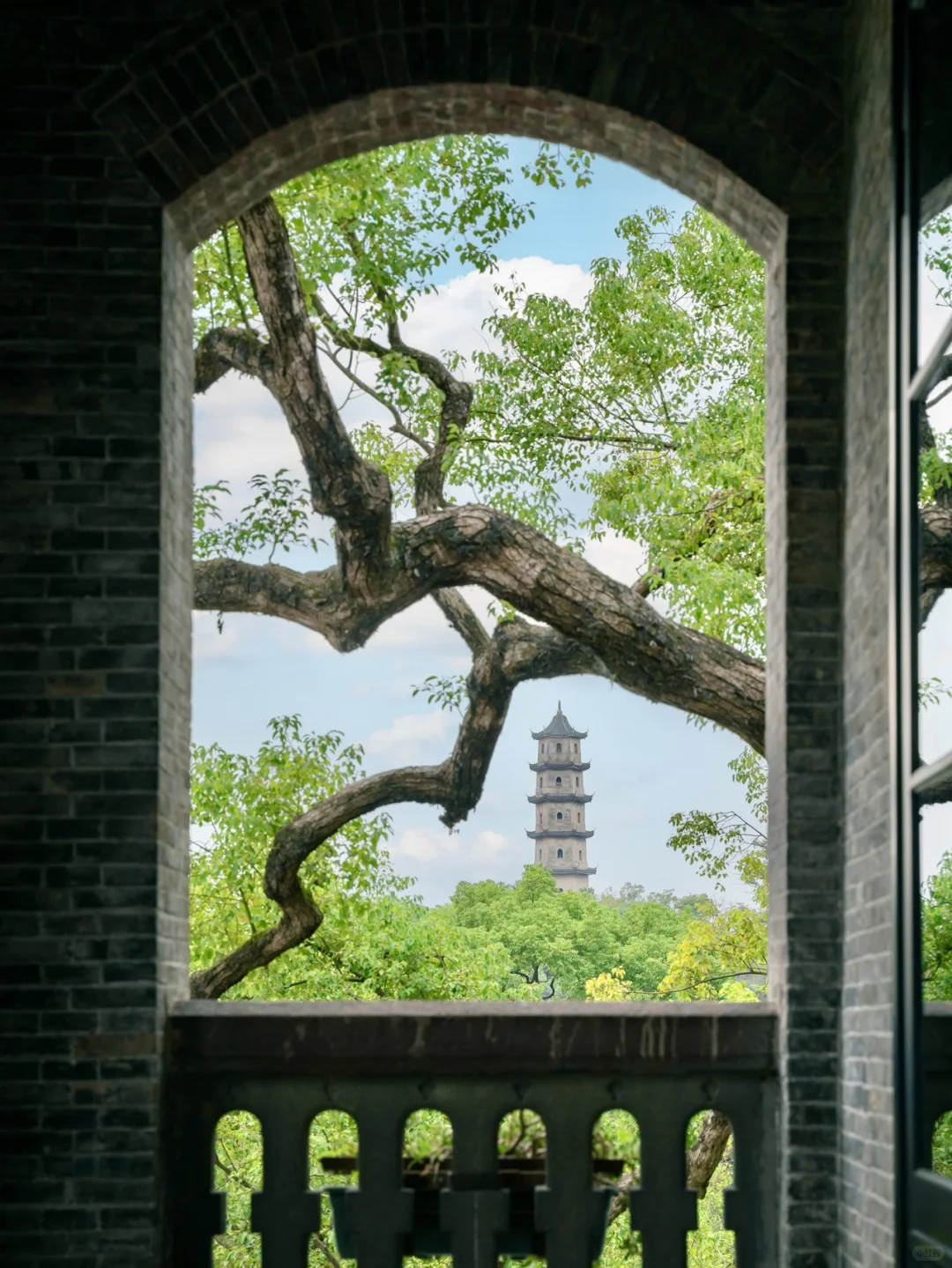 温州CityWalk丨这18张图发朋友圈问爆了❗