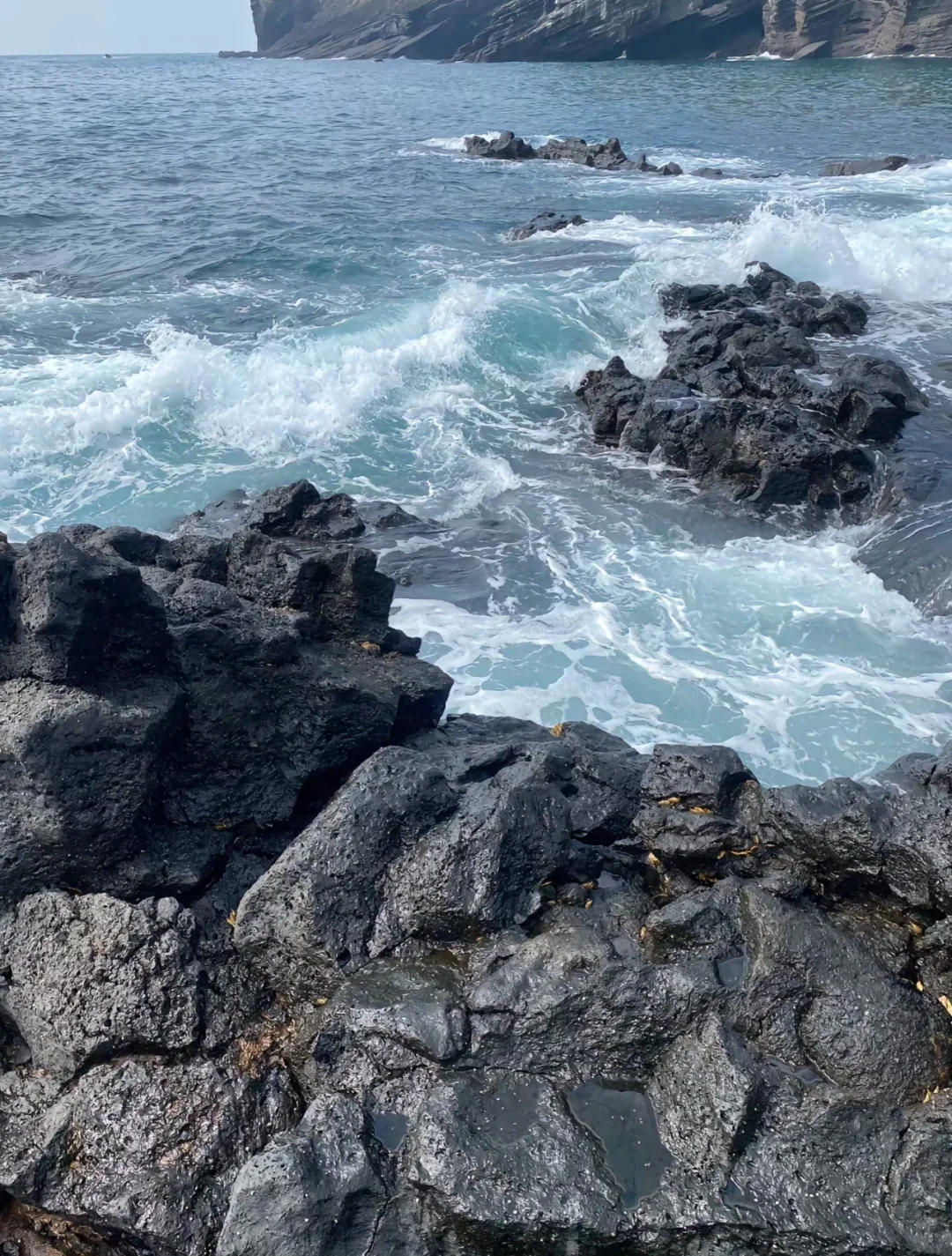 罗盘方向玩遍济州岛！！！这样走出片又省腿！！！