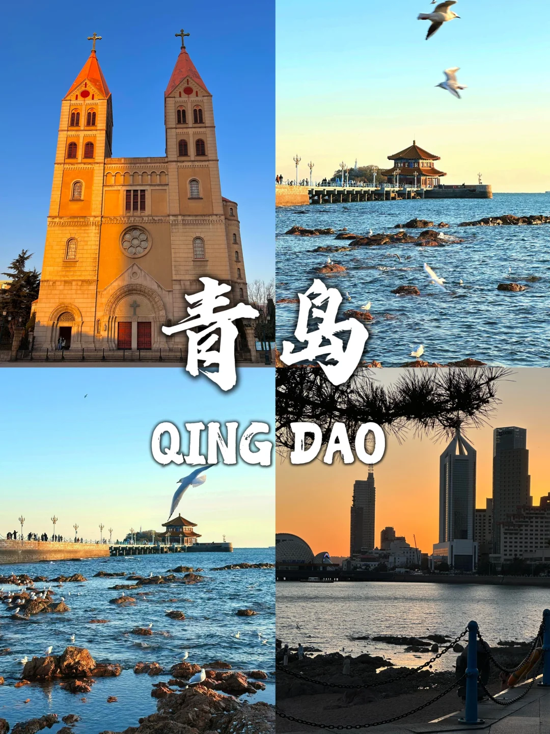 青岛🏖️||三日保姆级旅游攻略❗️