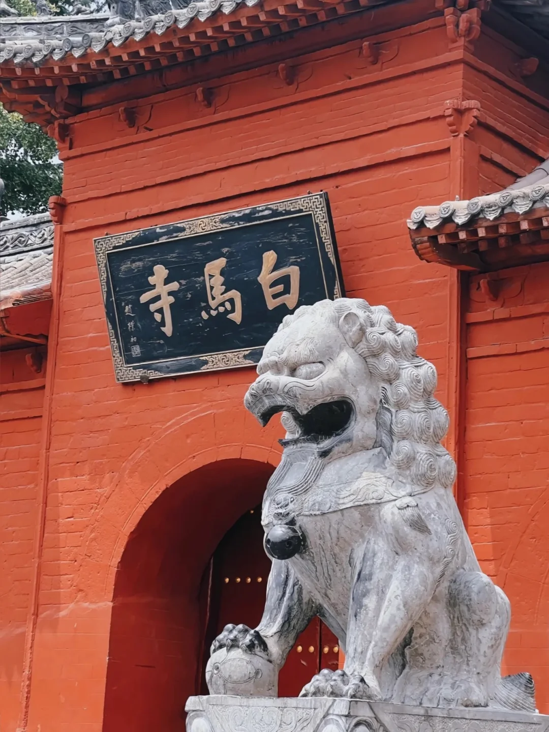 第一次带爸妈去洛阳(全攻略)