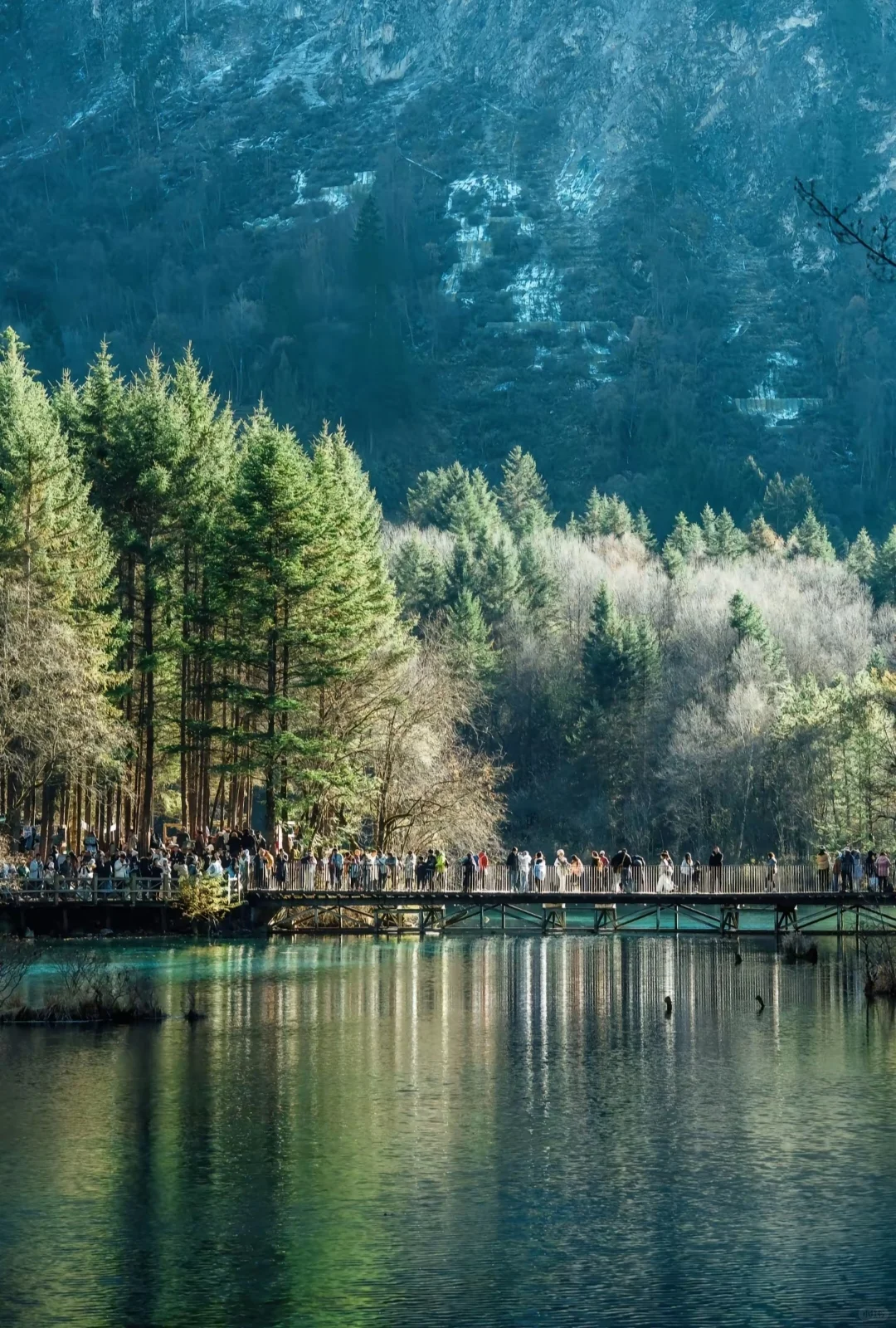 四川九寨沟旅游攻略