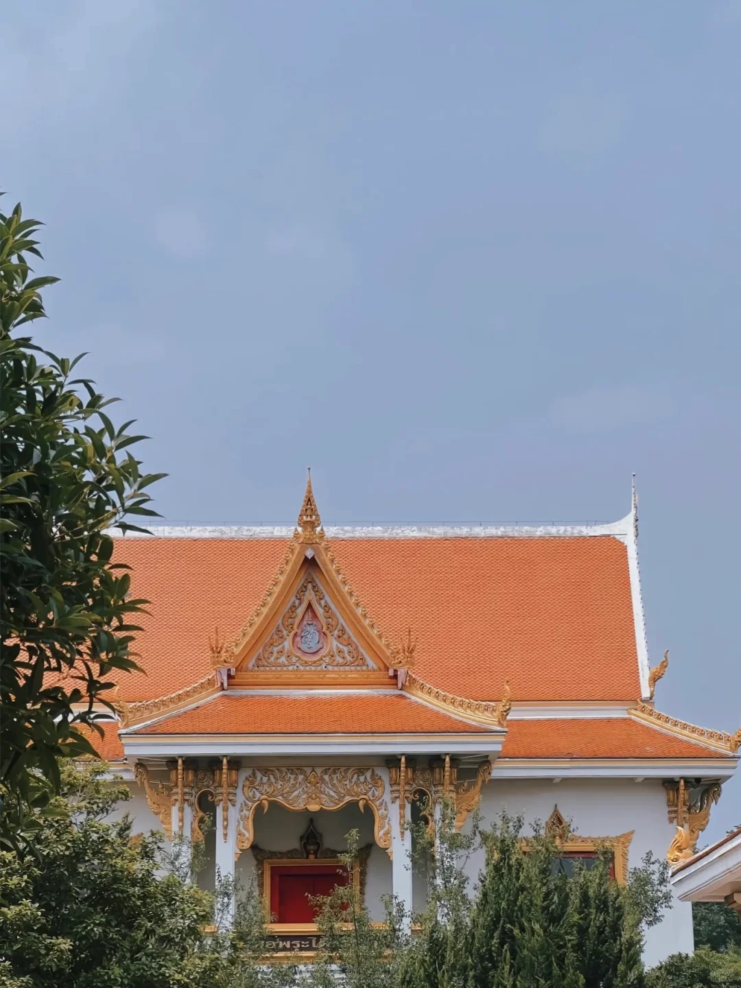 第一次带爸妈去洛阳(全攻略)