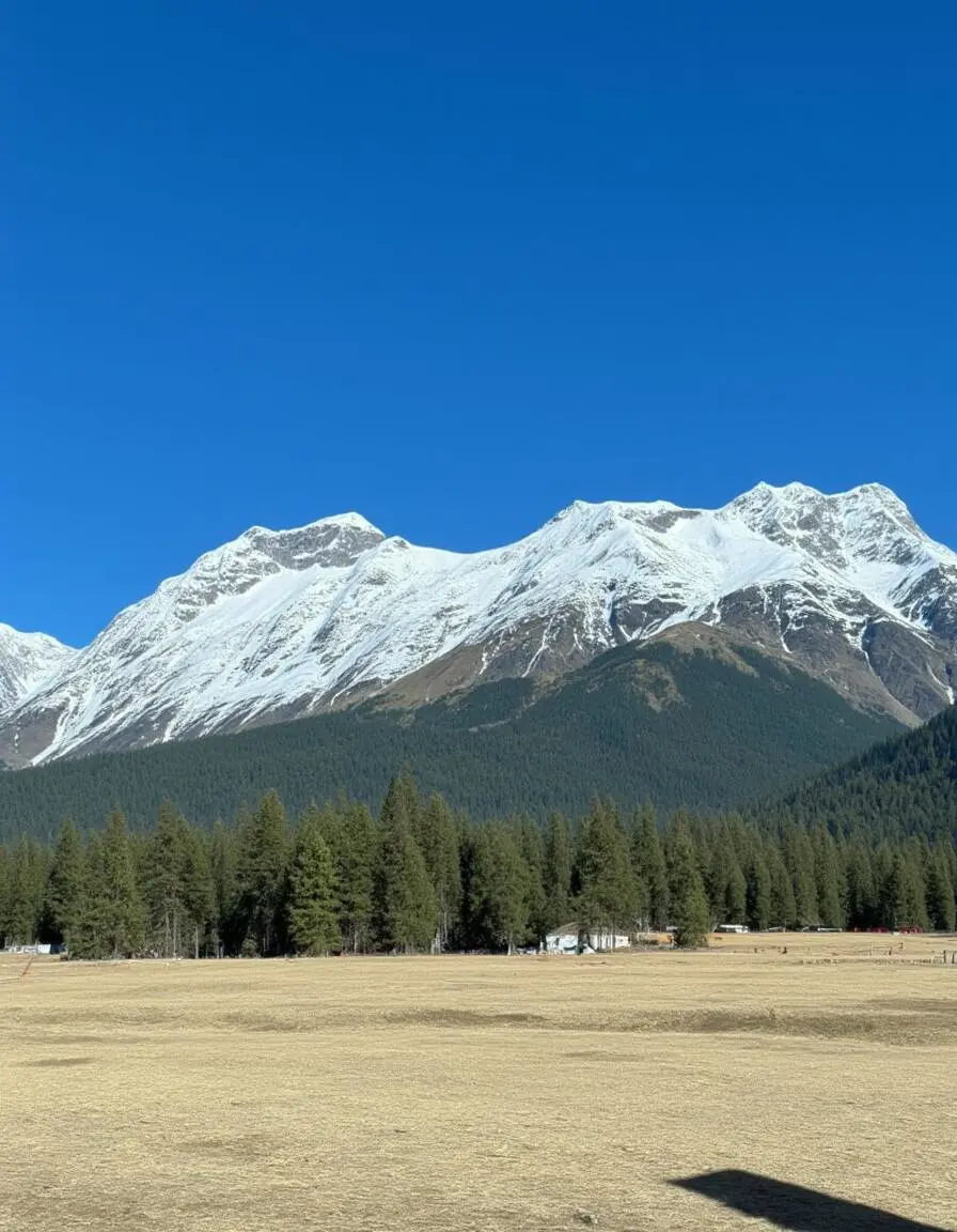 12-1月太适合来淡季的云南了😝8天花了3K