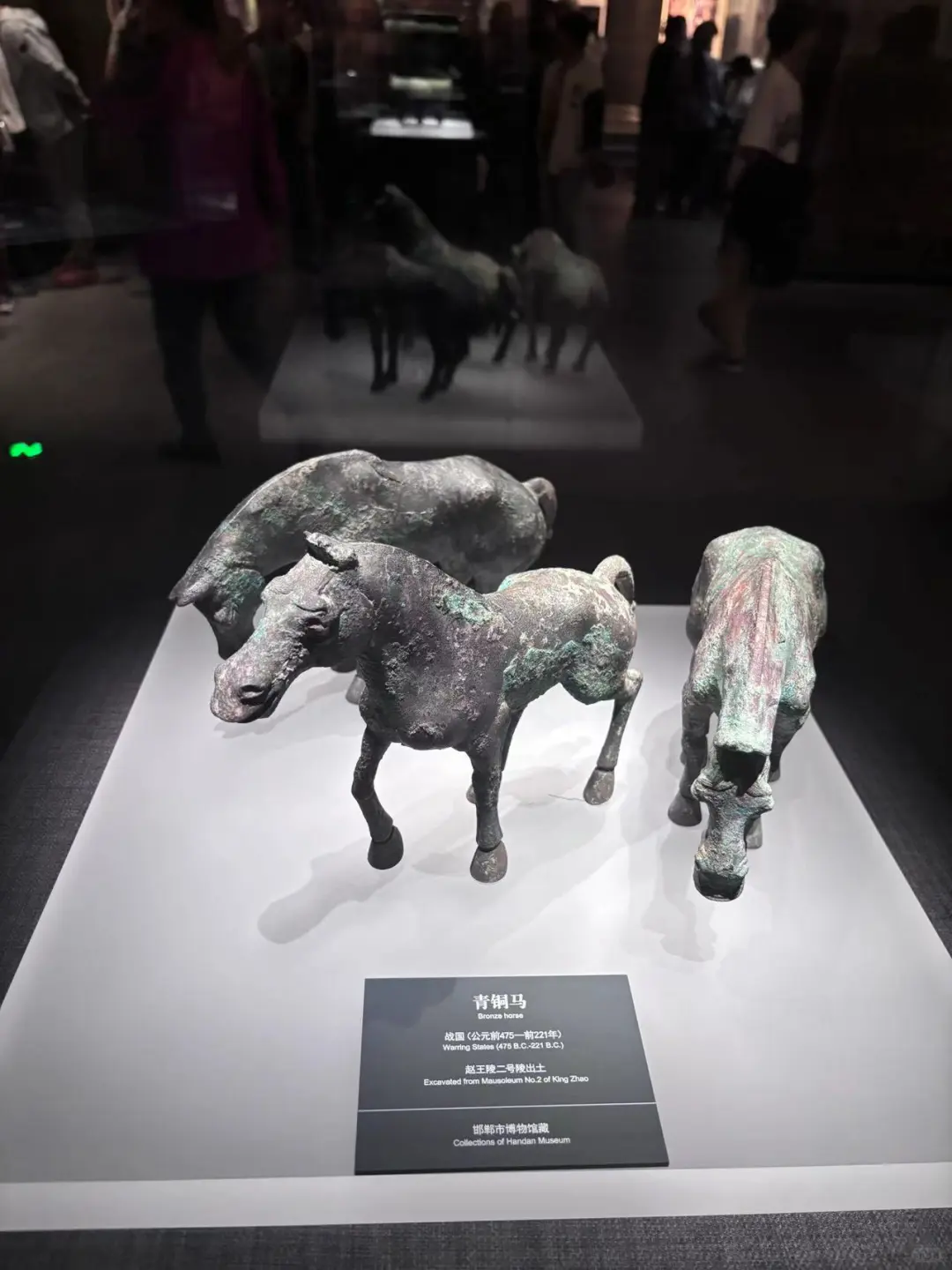 二毛带我看世界|河北邯郸