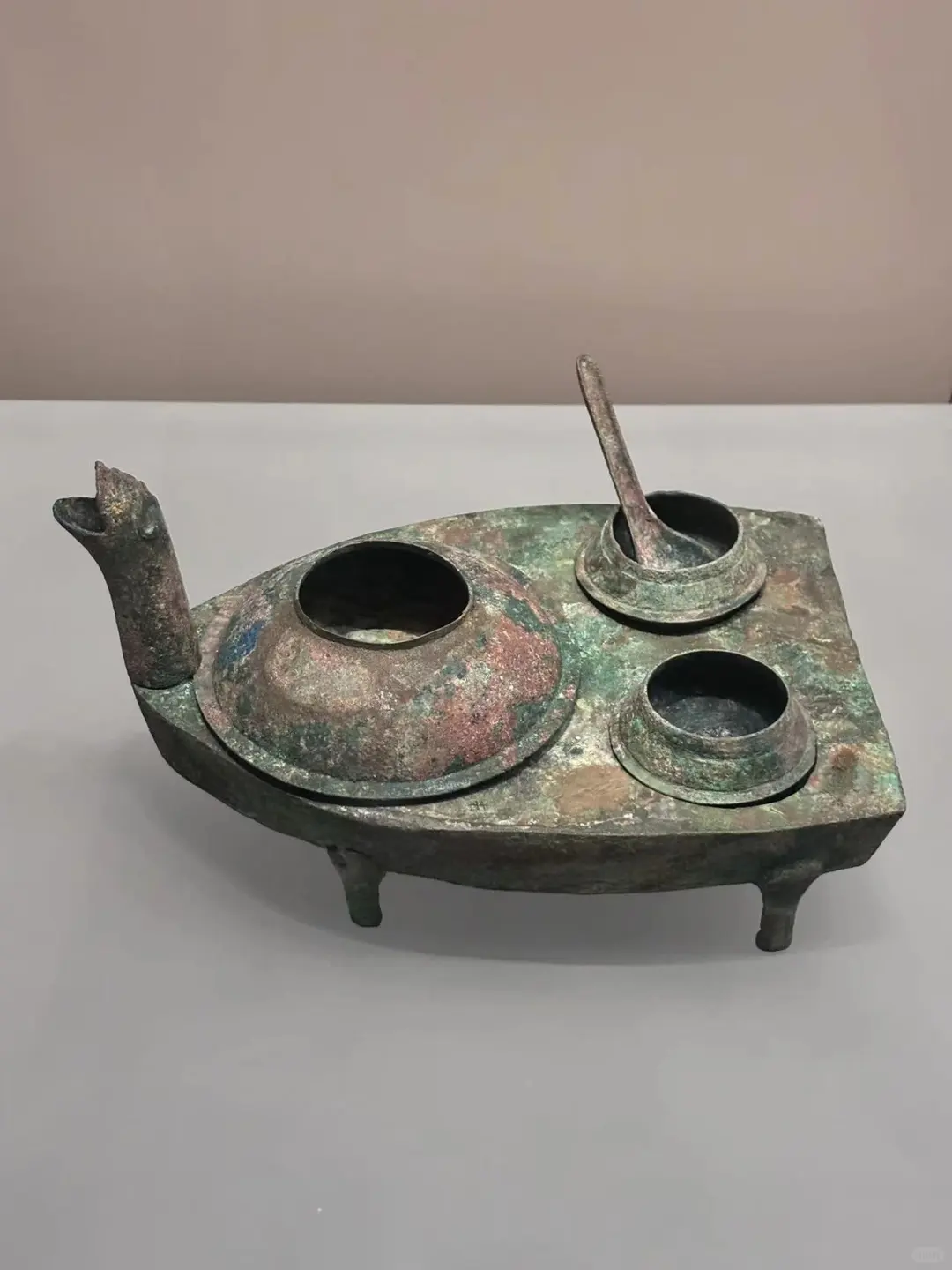 二毛带我看世界|河北邯郸