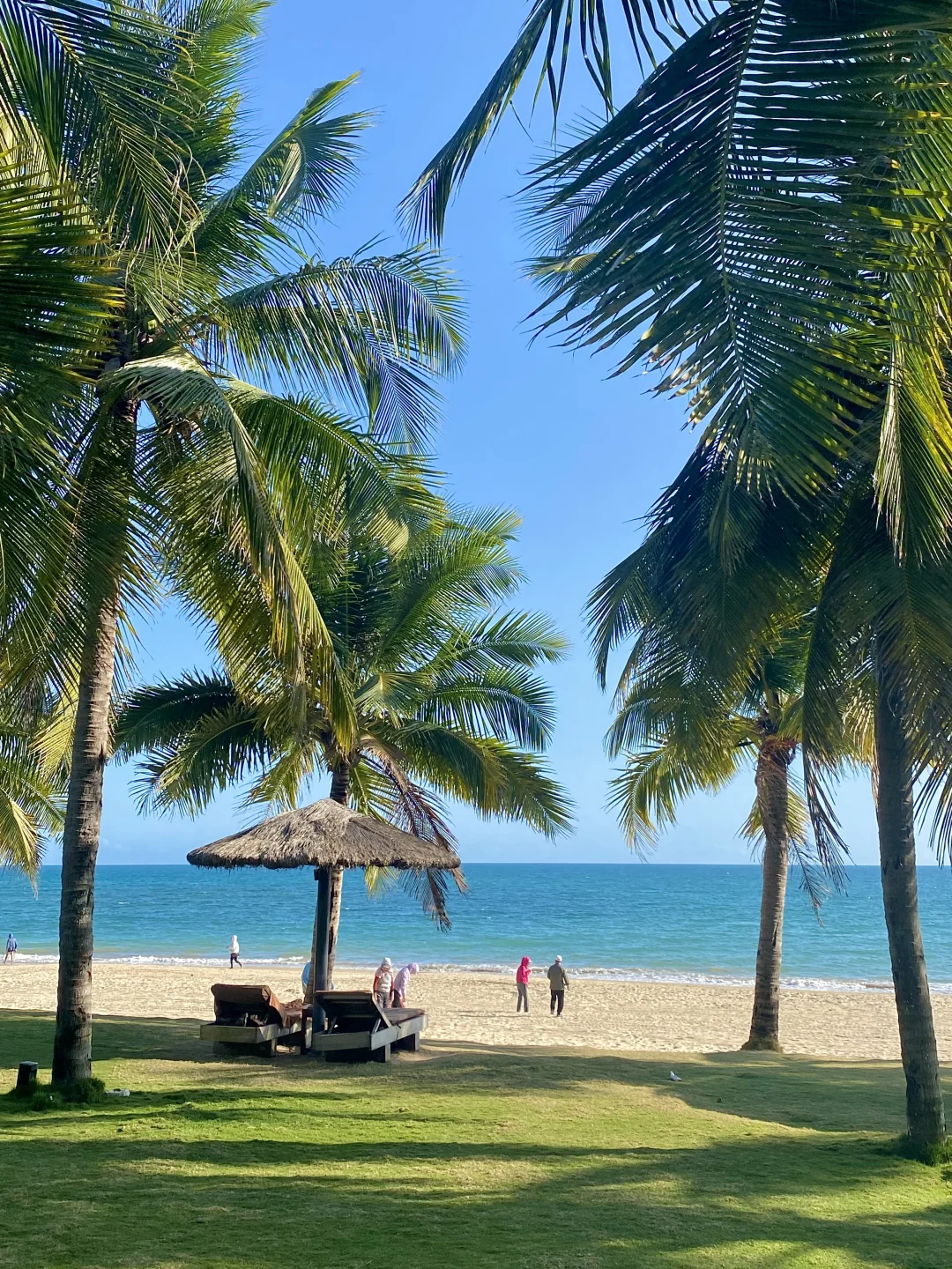 本人的陵水旅游攻略已到next level………………