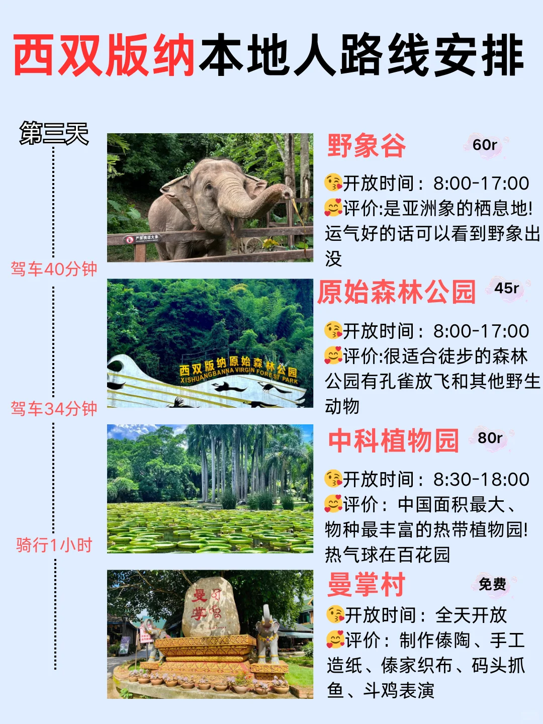 1月春节西双版纳旅游攻略🔥一定要看👀