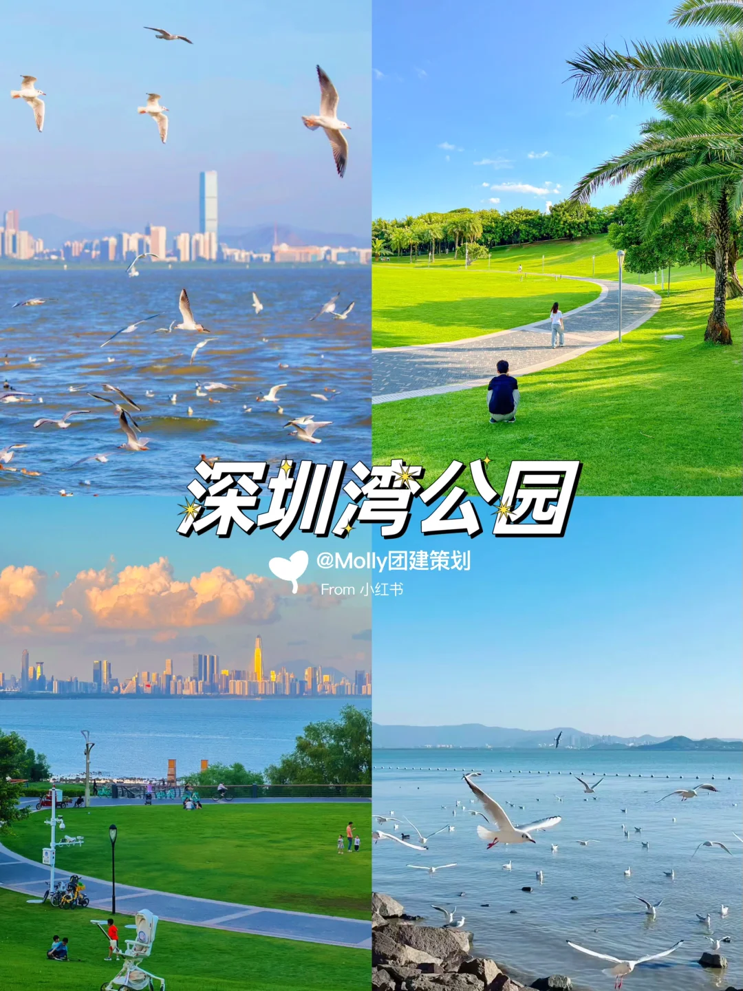 深圳周末去哪儿 | 必打卡的11个宝藏景点🔥