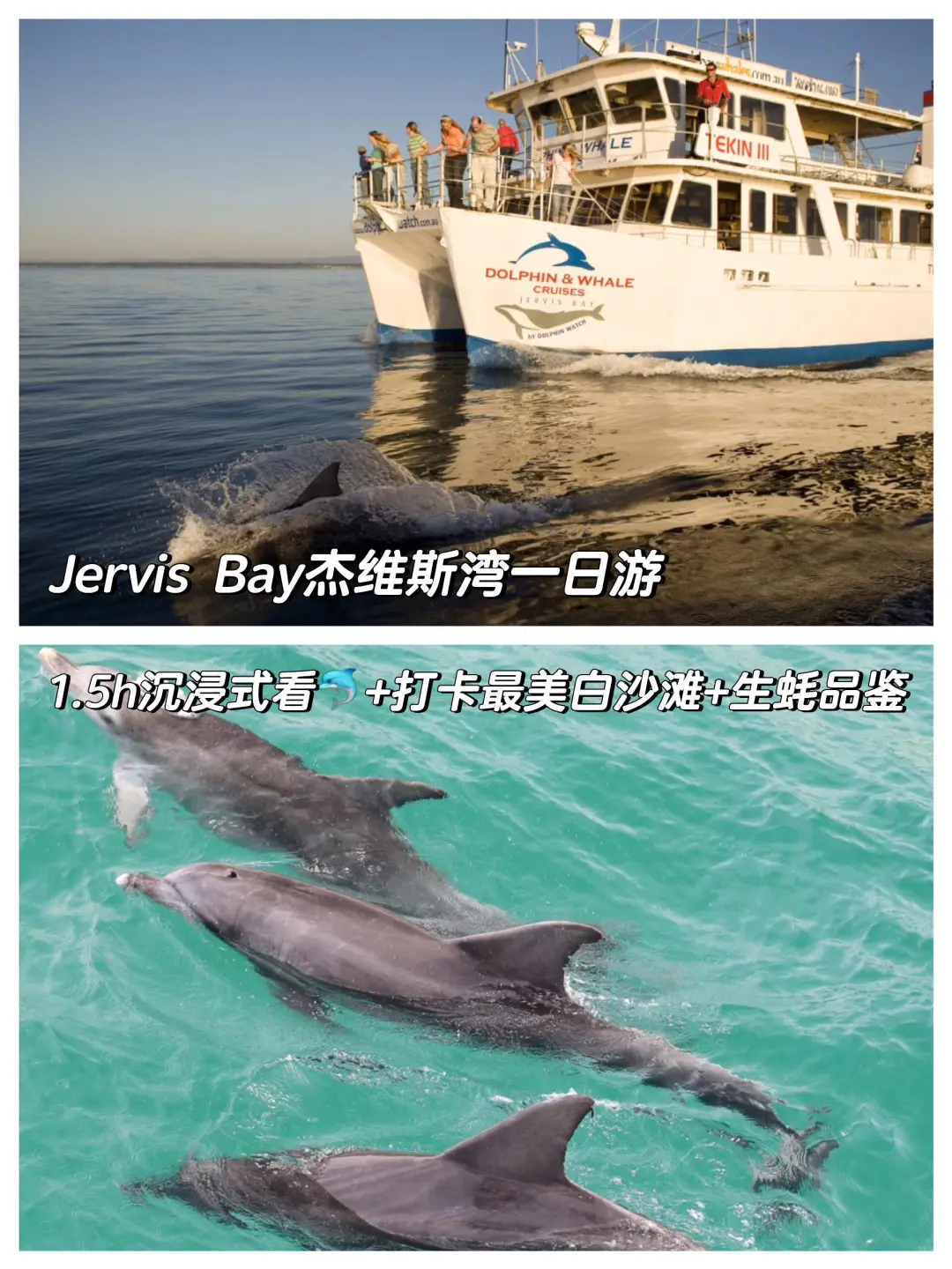 🇦🇺人生建议：离开悉尼前必去的20个地方❗️