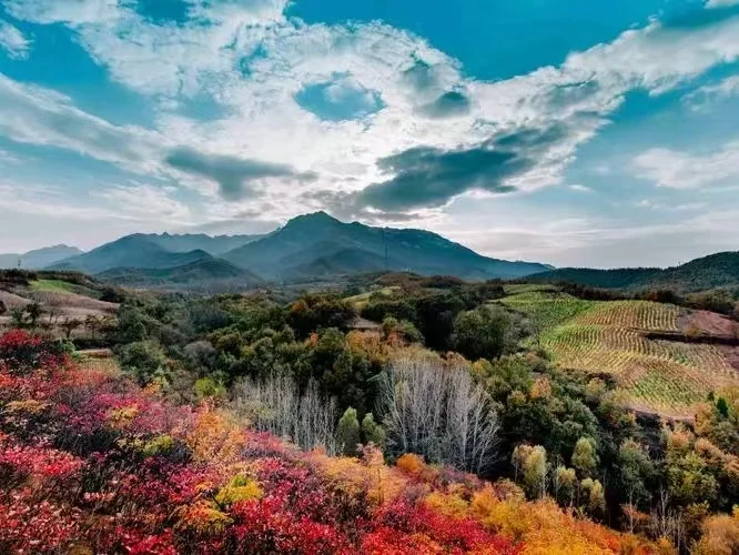 🔥河南这些景区不去你就太亏了！