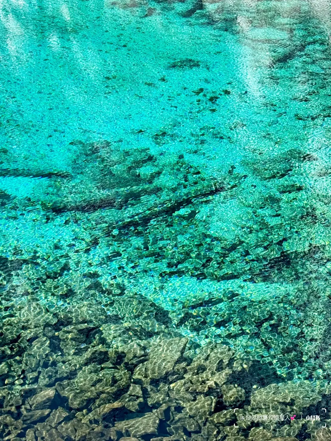 12.28📍九寨沟豪赌成功！简直不要太美了