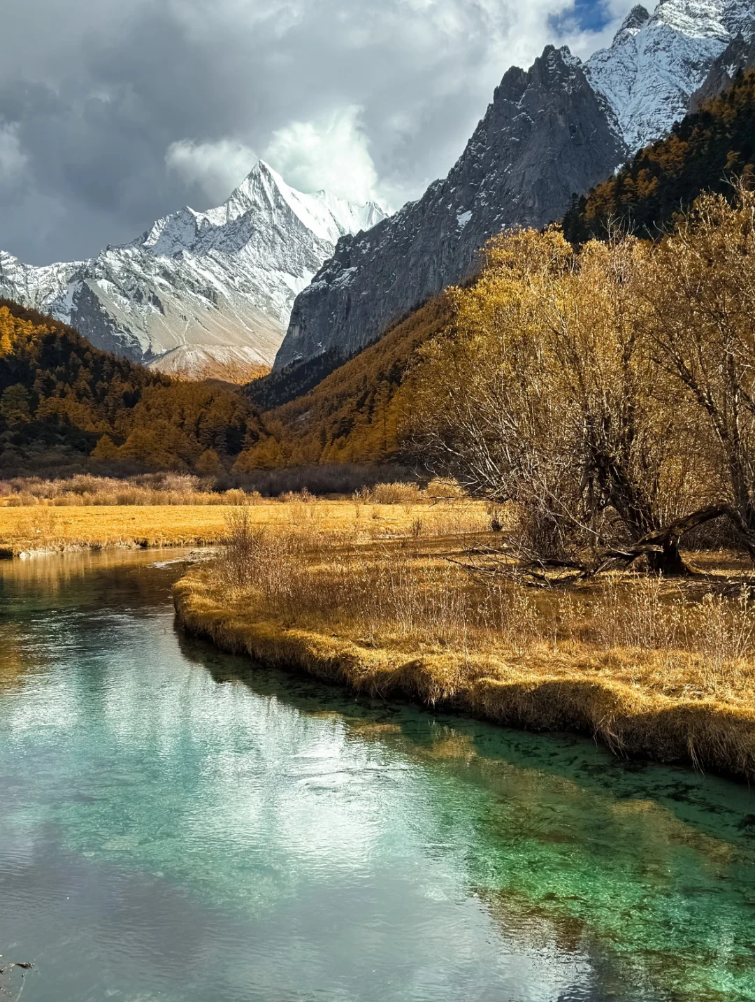 川西人民的嘴巴真严啊