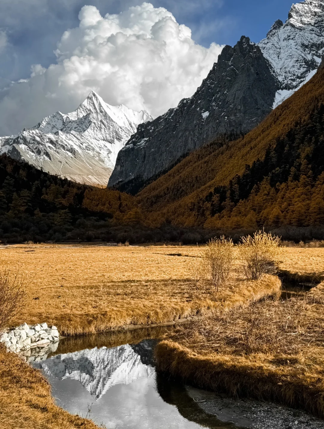 川西人民的嘴巴真严啊