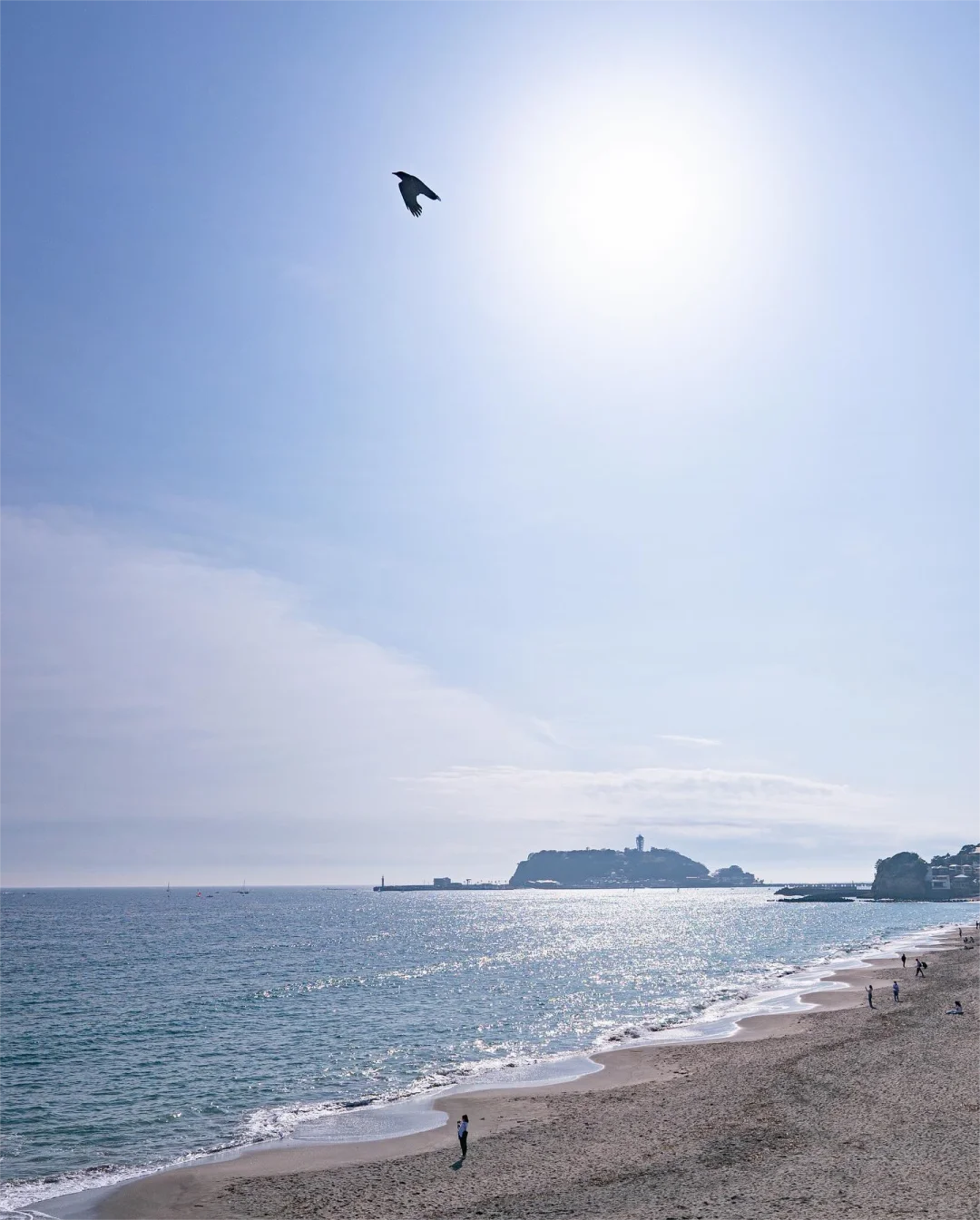 太全了！去了日本七八次，我的建议是……