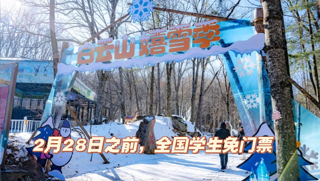 白云山学生免门票啦～洛阳发车