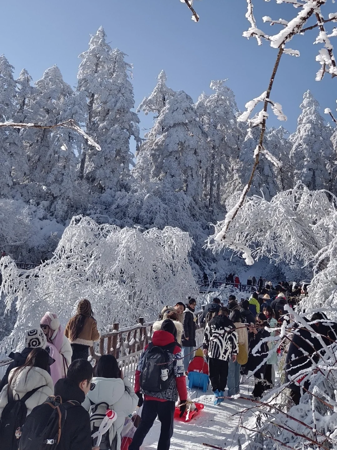1.14郴州纯受罪已回，四个人都崩溃了😭